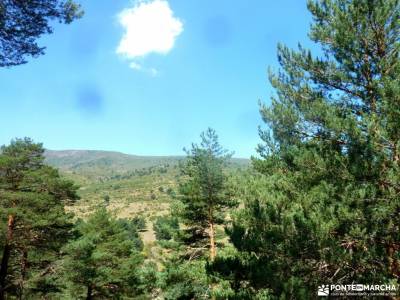 Sestil de Maillo-Mojonavalle-Canencia; senderismo en familia irati bosque viaje exotico